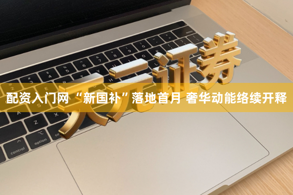 配资入门网 “新国补”落地首月 奢华动能络续开释