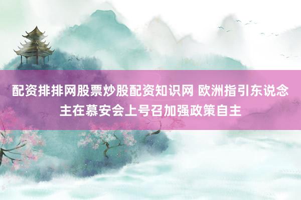 配资排排网股票炒股配资知识网 欧洲指引东说念主在慕安会上号召加强政策自主