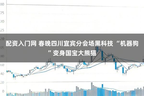 配资入门网 春晚四川宜宾分会场黑科技 “机器狗”变身国宝大熊猫