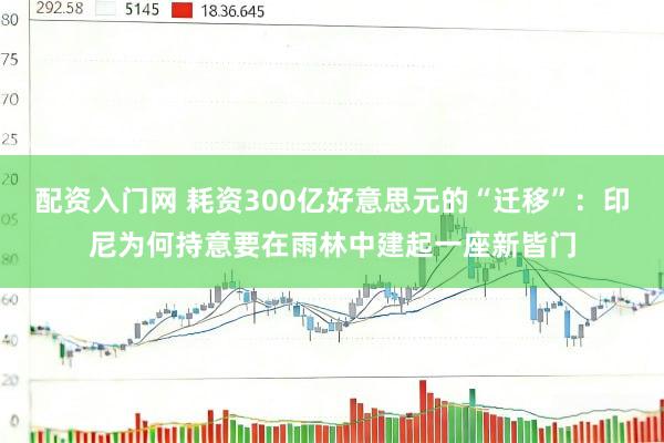 配资入门网 耗资300亿好意思元的“迁移”：印尼为何持意要在雨林中建起一座新皆门