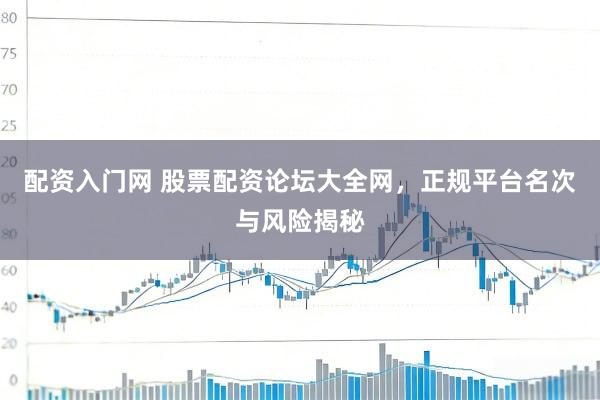 配资入门网 股票配资论坛大全网，正规平台名次与风险揭秘