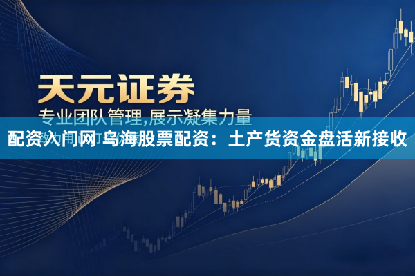 配资入门网 乌海股票配资：土产货资金盘活新接收