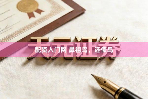 配资入门网 鼻祖鸟，还债鸟