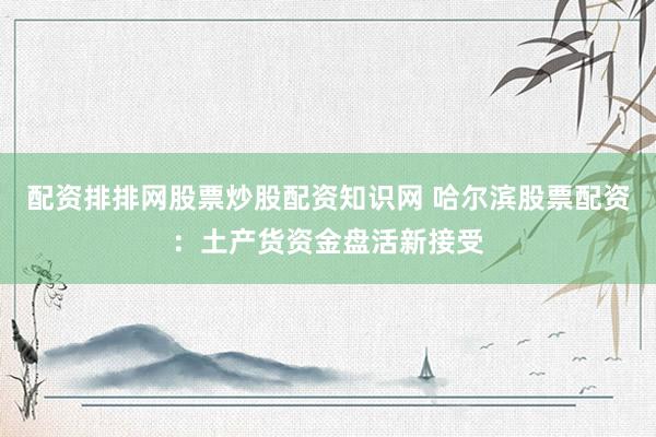 配资排排网股票炒股配资知识网 哈尔滨股票配资：土产货资金盘活新接受