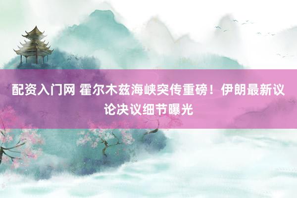 配资入门网 霍尔木兹海峡突传重磅！伊朗最新议论决议细节曝光