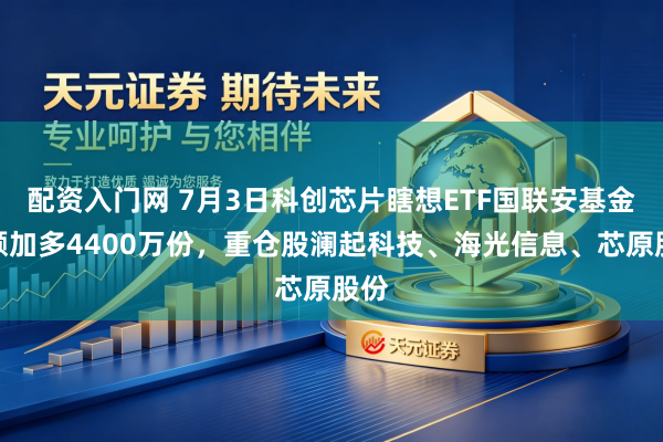 配资入门网 7月3日科创芯片瞎想ETF国联安基金份额加多4400万份，重仓股澜起科技、海光信息、芯原股份